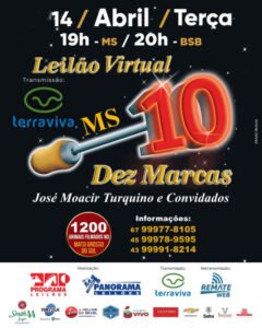 leilao-virtual-10-marcas