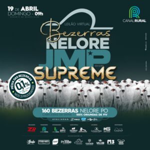 leilao-virtual-bezerras-nelore-jmp-edicao-supreme