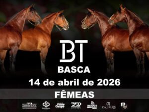 leilao-virtual-bt-basca-femeas