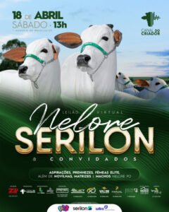 leilao-virtual-nelore-serilon-e-convidados