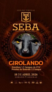 leilao-virtual-seba-girolando