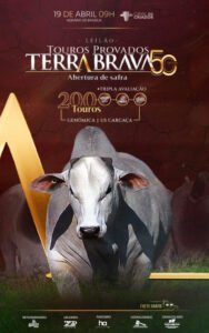 leilao-virtual-touros-provados-terra-brava-50-anos