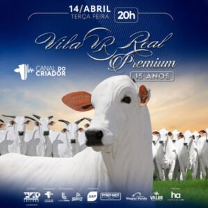 leilao-virtual-vila-real-premium-15-anos