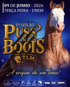 1-leilao-puss-in-boots