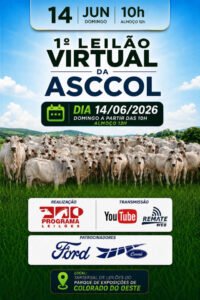 1-leilao-virtual-da-asccol