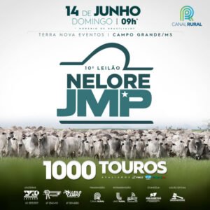 10-leilao-nelore-jmp-touros