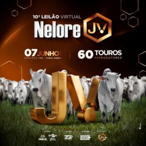 10-leilao-virtual-nelore-jv