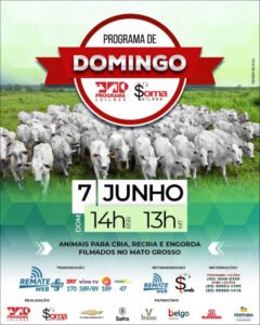 154-programa-de-domingo-programa-e-soma-leiloes