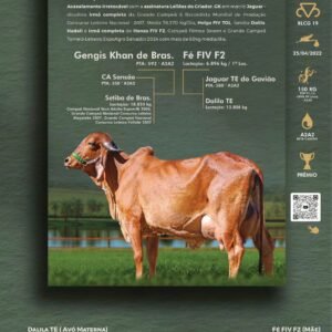 Pacote 01 – Hadali FIV DO RL