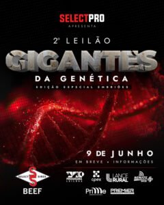 2-leilao-gigantes-da-genetica-select-sires