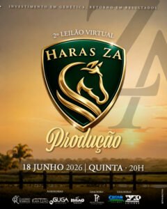 2-leilao-haras-za-producao