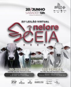 21-leilao-nelore-ceia