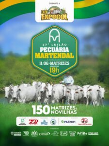 27-leilao-pecuaria-martendal-convidados-matrizes
