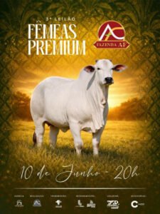 3-leilao-femeas-premium-fazenda-af