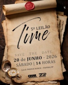 5-leilao-time