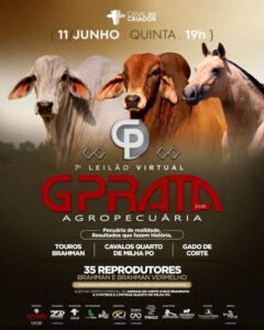 7-leilao-virtual-g-prata-agropecuaria-touros-quarto-de-milha-e-gado-de-corte