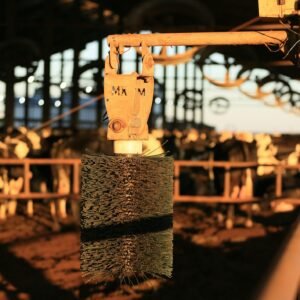 FPP 611 - COÇADORES DE VACAS