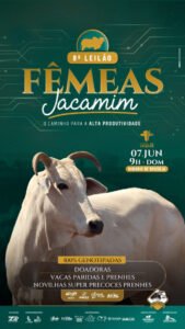 8-virtual-femeas-jacamim