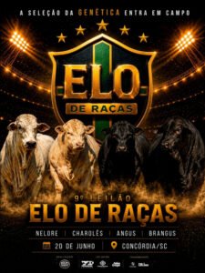 9-leilao-elo-de-racas-angus