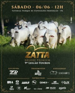 9-leilao-touros-zatta-nelore-premium