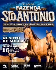 9-leilao-virtual-fazenda-santo-antonio-quarto-de-milha