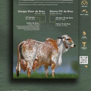 Pacote 11 – Biuna Gengis Khan Fiv