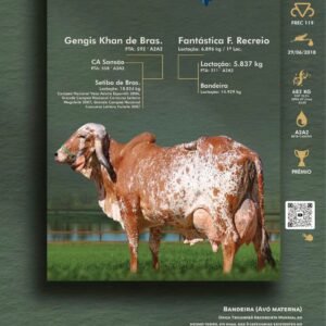 Pacote 07 – Jaciara F. Recreio