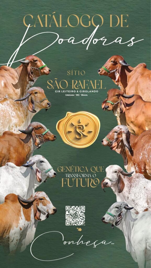 Shopping Sítio São Rafael - Gir Leiteiro e Girolando
