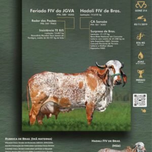 Pacote 17 – Anabella Fiv Pilar 2C
