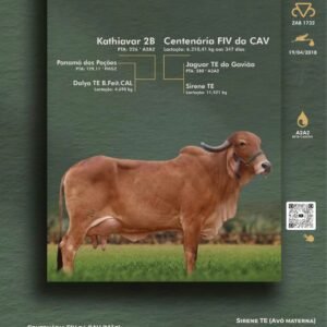 Pacote 27 – Badana 2B