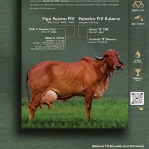 Pacote 24 – Figo Fiv Genavan