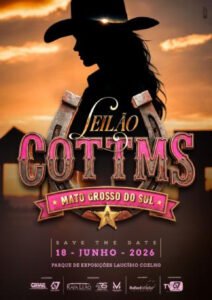 leilao-cottms
