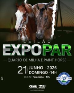 leilao-expopar-quarto-de-milha-e-paint-horse