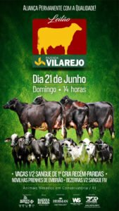 leilao-fazenda-vilarejo-girolando