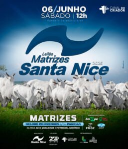 leilao-matrizes-santa-nice-2026