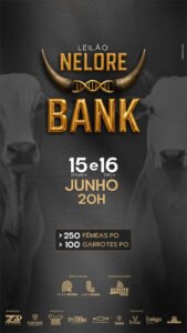 leilao-nelore-bank-machos