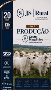 leilao-producao-couto-magalhaes-pastoril-agropecuaria