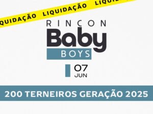 leilao-rincon-baby-boys