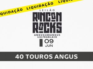 leilao-rincon-rocks