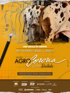 leilao-virtual-agro-corona-nelore-pintado