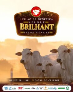 leilao-virtual-de-genetica-nelore-brilhant-etapa-femeas