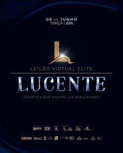 leilao-virtual-elite-lucente