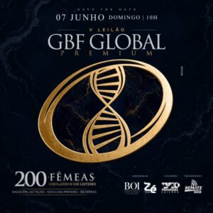leilao-virtual-gbf-global-premium
