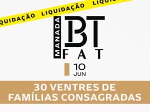 leilao-virtual-manada-bt-fat