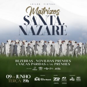 leilao-virtual-matrizes-santa-nazare