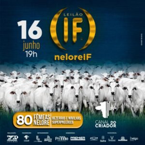 leilao-virtual-nelore-if-femeas