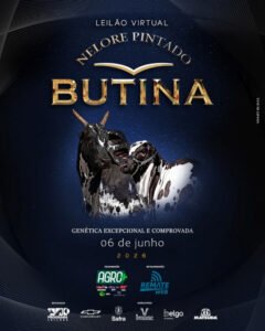 leilao-virtual-nelore-pintado-butina