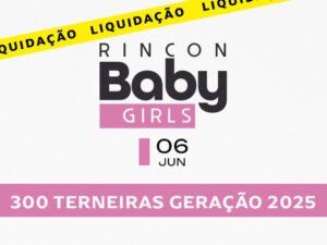 leilao-virtual-rincon-baby-girls