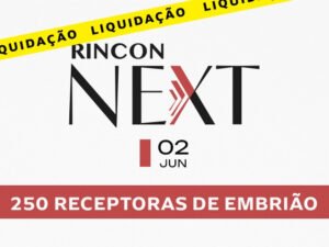 leilao-virtual-rincon-next