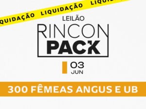 leilao-virtual-rincon-pack-angus-e-ub